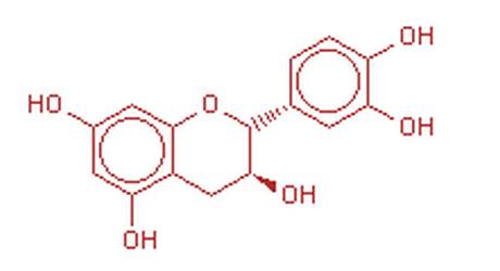 2,3-trans-catechin